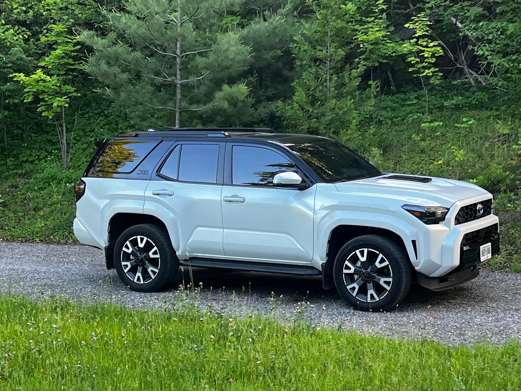 2025 2026 4runner 6th gen Wife’s New TRD Sport on 35's, 3.5" Rough Country Lift, 20" Fuel Rebar wheels -18 offset IMG_1853