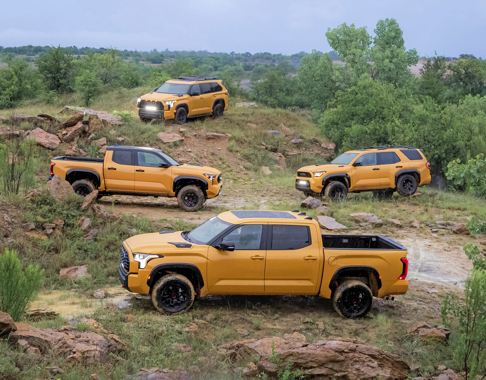 2027_Toyota_TRDPro_Family_HoneyComb-7.webp