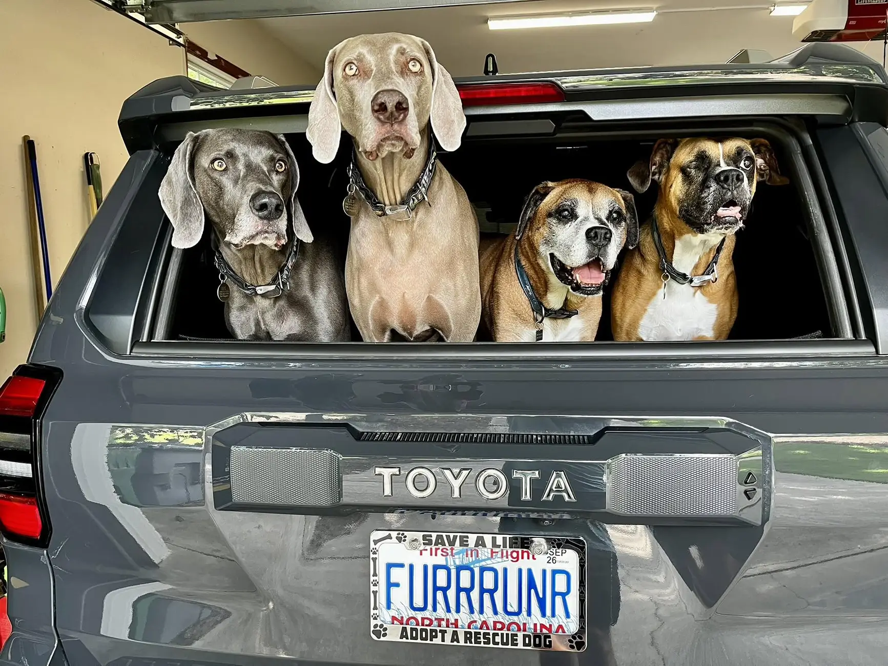 2025 2026 4runner 6th gen Shoutout to Canvasback 1786107883979-oj