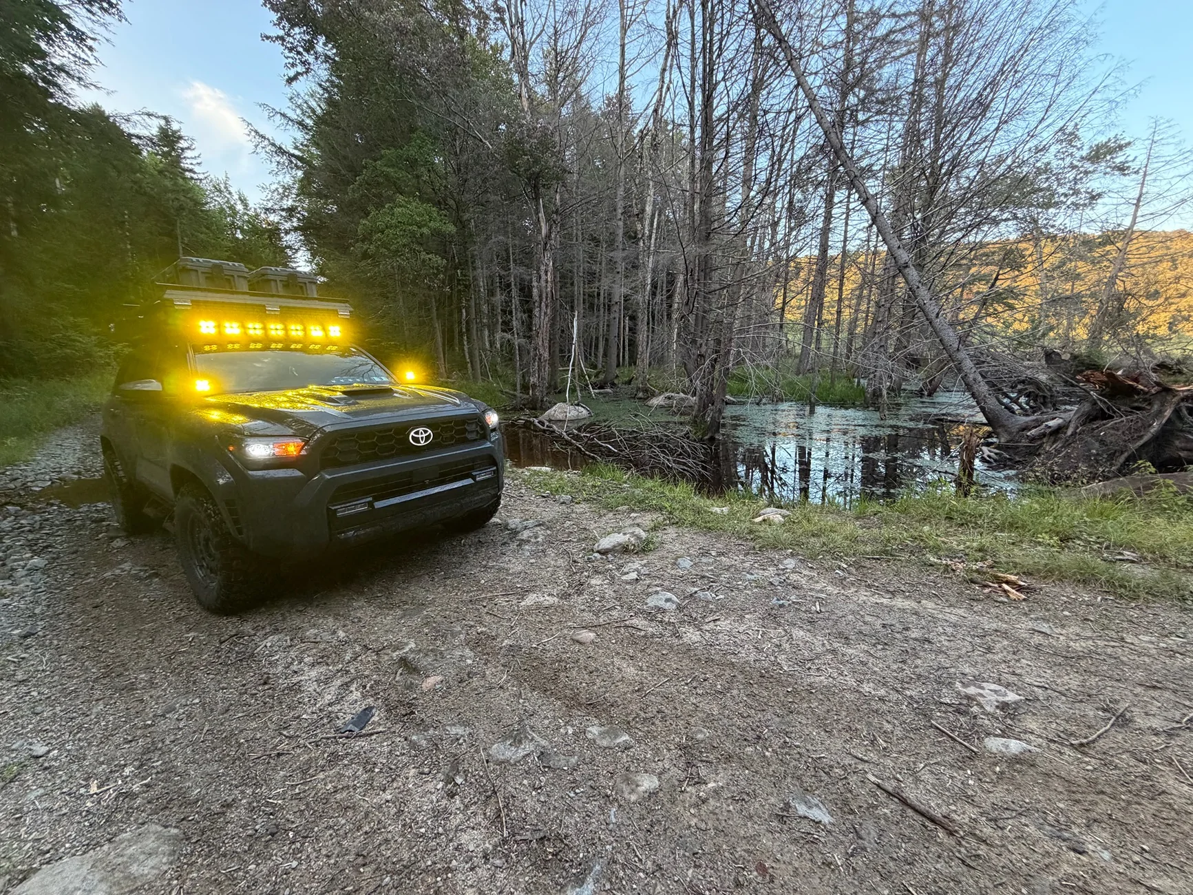 2025 2026 4runner 6th gen My first Toyota, 2026 TRD Sport Premium Build IMG_8749