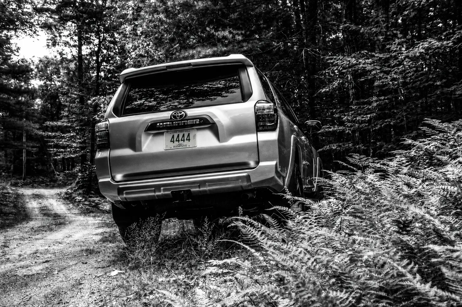 2025 2026 4runner 6th gen Introductions & Welcome Thread 👋 11C52541-7F6B-4A29-8A85-CD064B7EF5FE