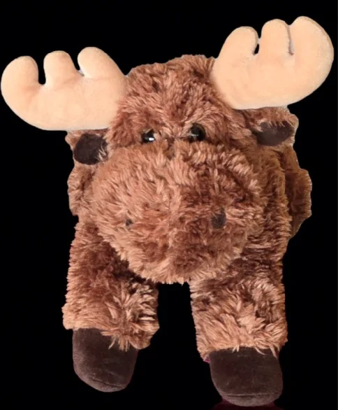 2025 2026 4runner 6th gen 2025 Mudbath TRD Pro Build "Moose" Moos