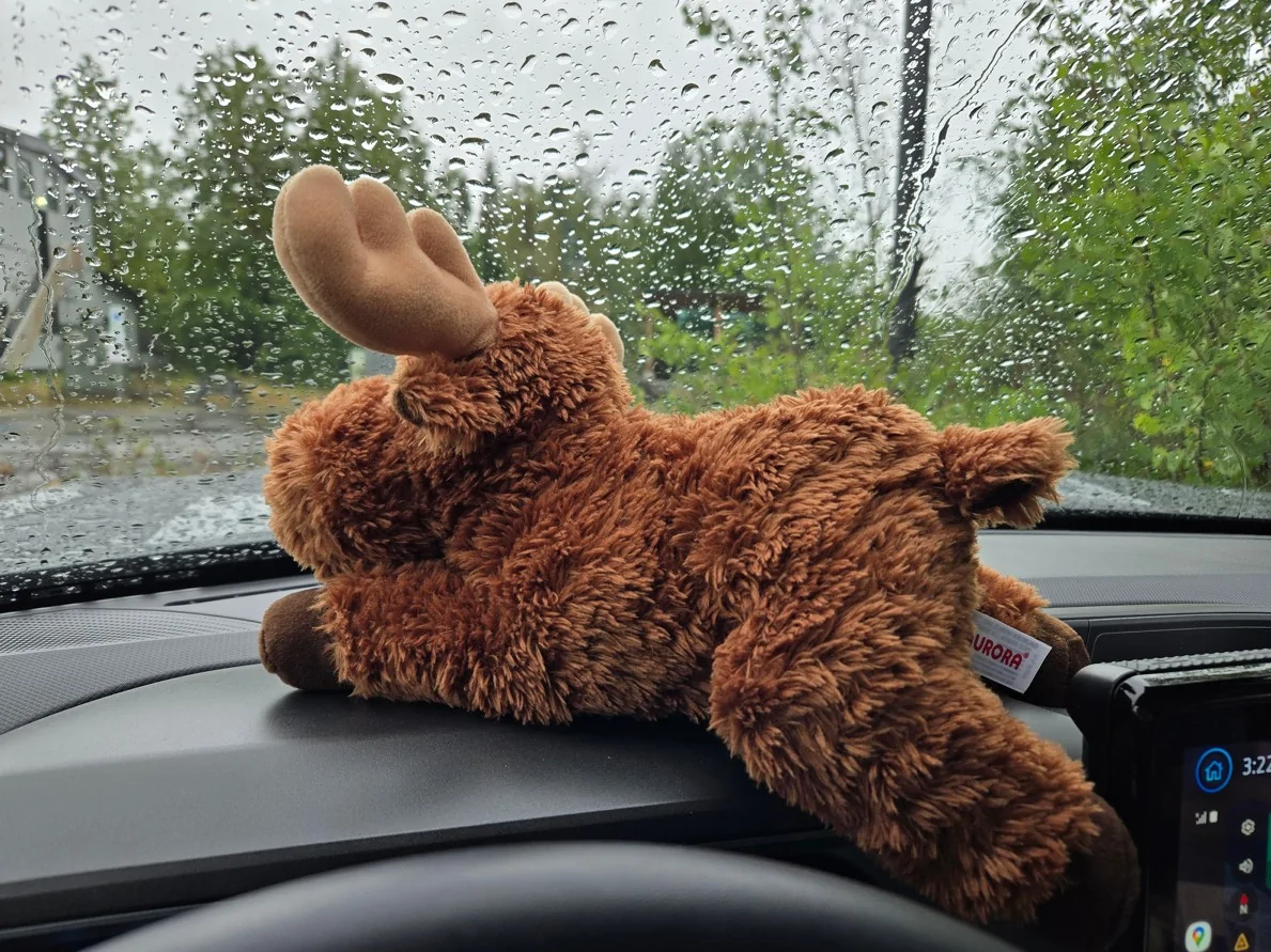 2025 2026 4runner 6th gen 2025 Mudbath TRD Pro Build "Moose" Moose 2