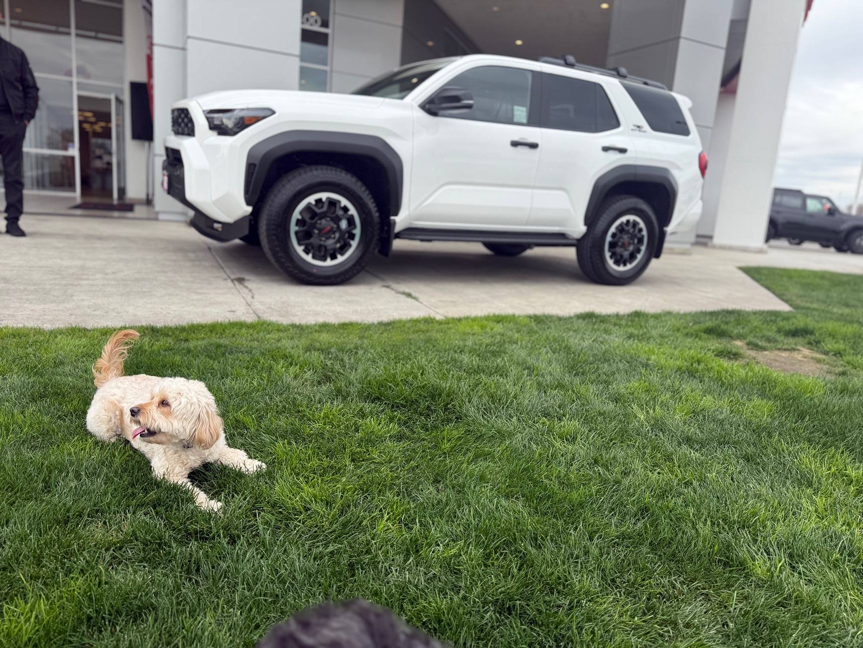 2025 4runner 6th gen ICE CAP WHITE Photos 4Runner 6th Gen (2025+) IMG_7085