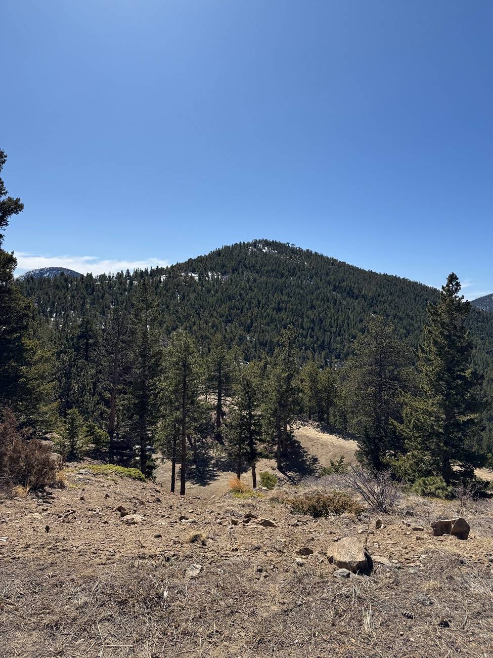 2025 4runner 6th gen Colorado Meet-up in March? IMG_4265