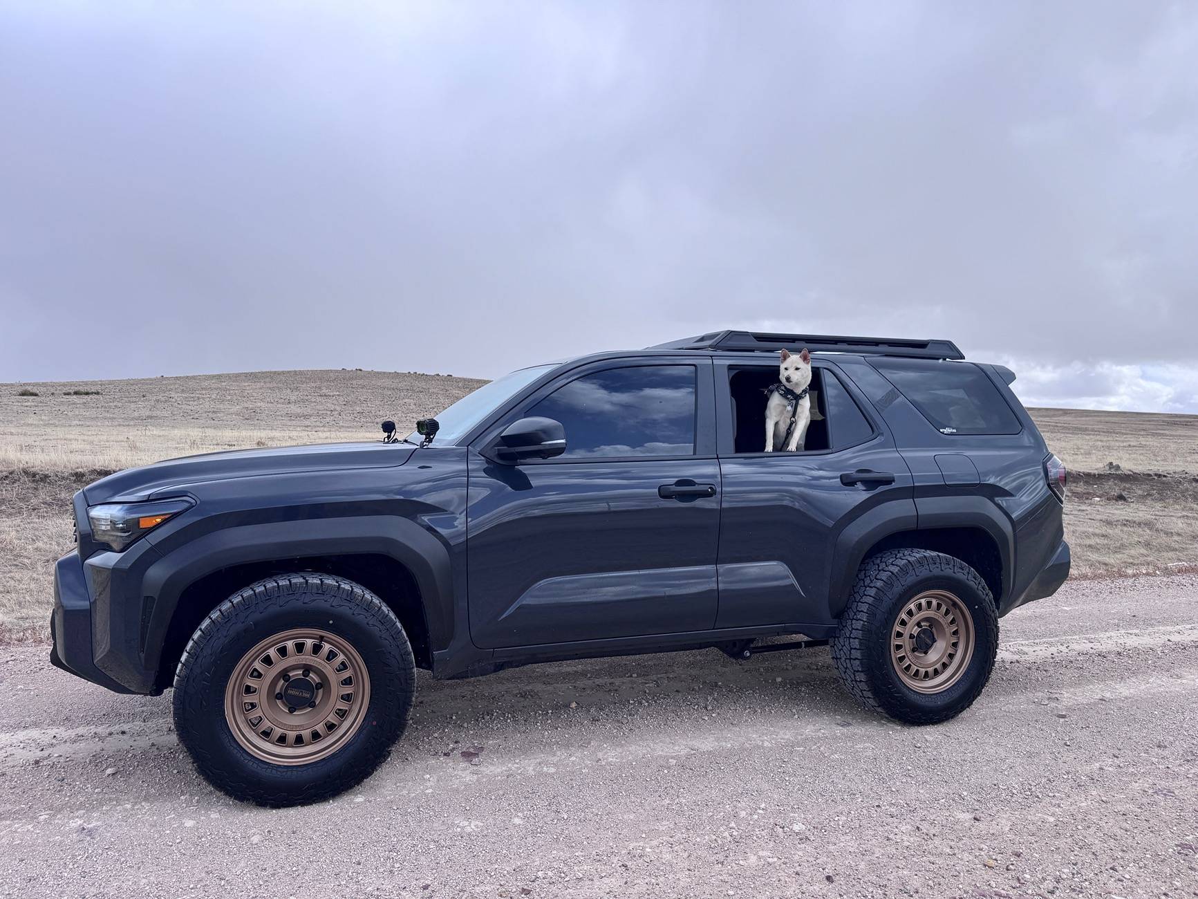 2025 Toyota 4runner Random Daily Photos of the Day Thread - Post Your 4Runner Pics! 📸 IMG_7412