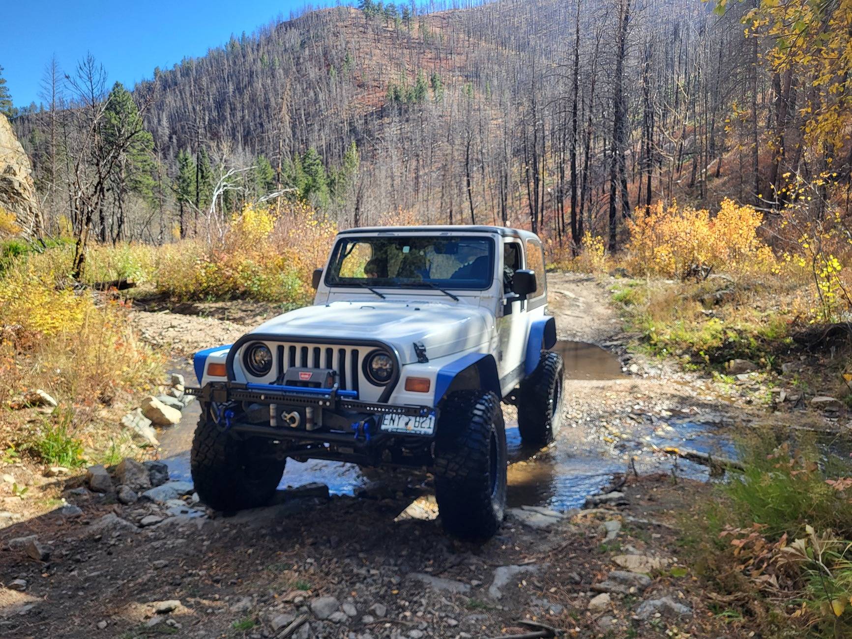 2025 4runner 6th gen What else do you drive? Post your other rides 20241020_135559