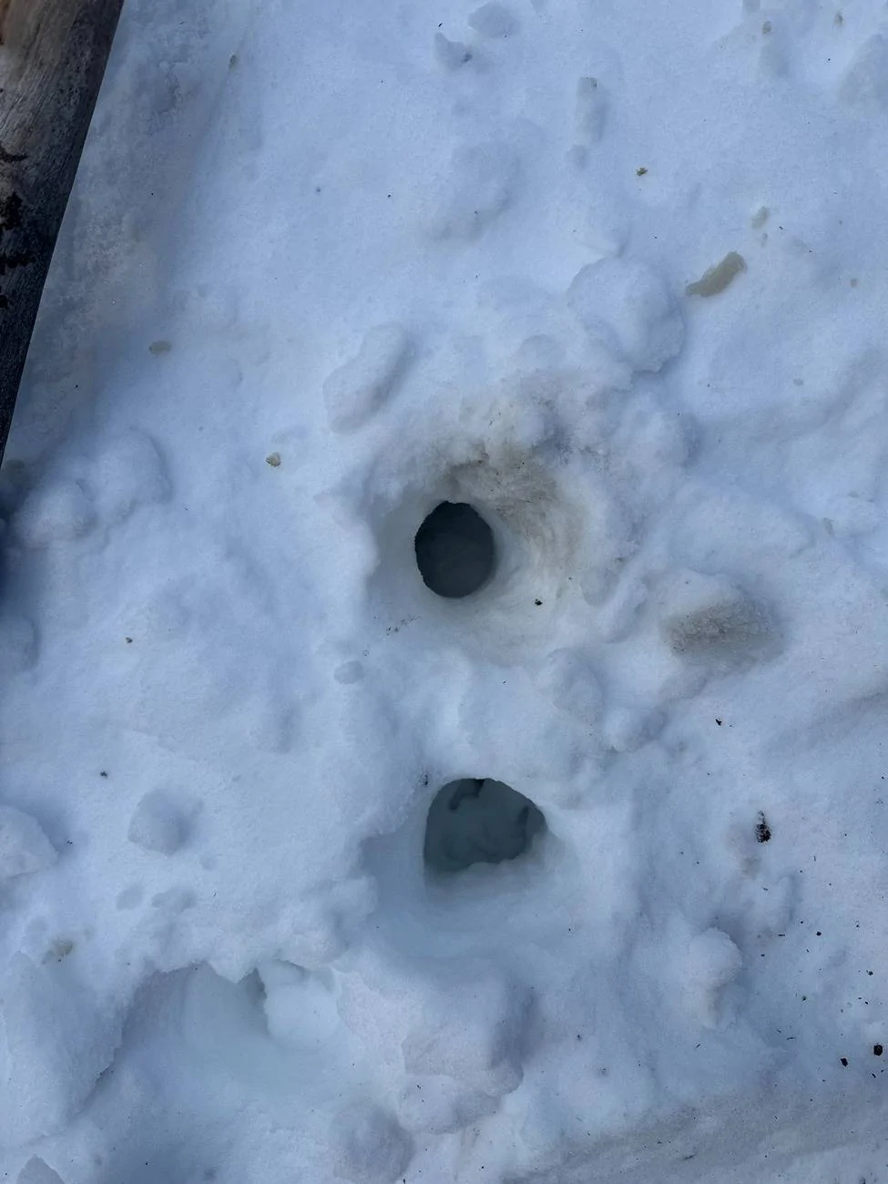 2025 4runner 6th gen It happened....I'm glad it happened but it happened. IMG_4415