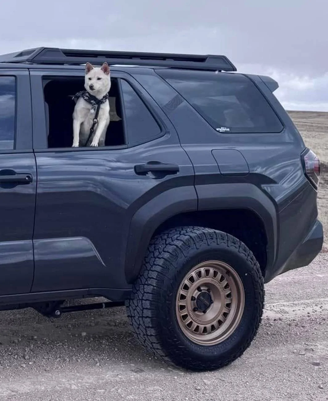 2025 4runner 6th gen 🐶 International Puppy Day: How Did You Celebrate? 🐾 IMG_7417