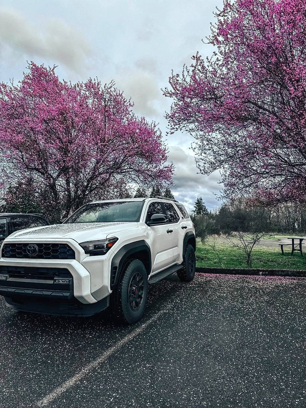 2025 4runner 6th gen Random Daily Photos of the Day Thread - Post Your 4Runner Pics! 📸 487290688_9452073564830553_3255599781600087203_n