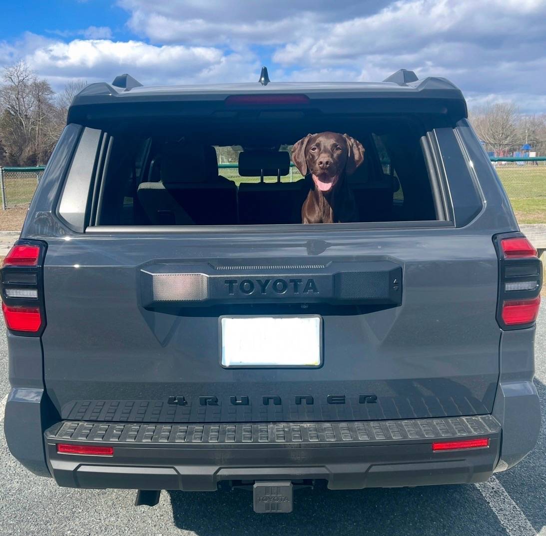 2025 Toyota 4runner Dogs / Pets ride-along photos thread! 🐾 IMG_4736