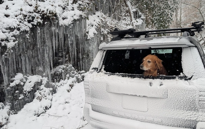 First snow day for the ORP. Minor incident.