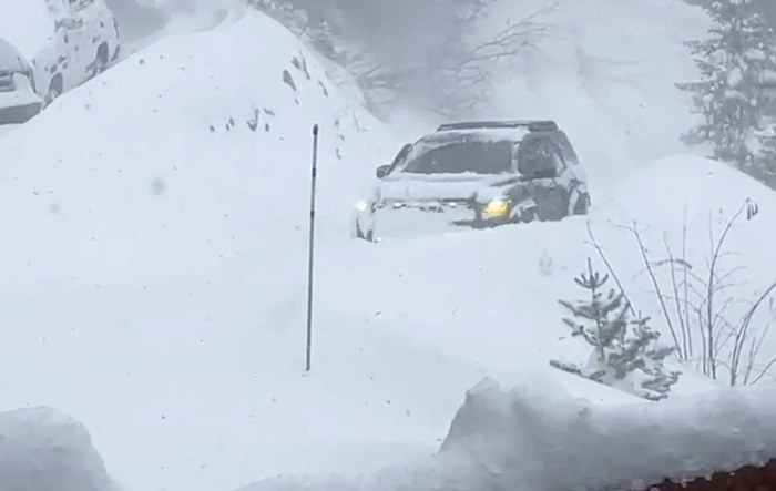 Deep Snow – Just had to try!