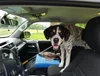 20180619_152613.webp