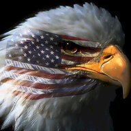 AF VETERAN
