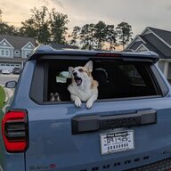 fur_runner