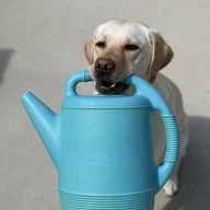 C4T5