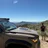 wilddrivenlife