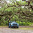 Maxine_Offroad