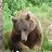 Alaska Guy