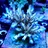 acropora